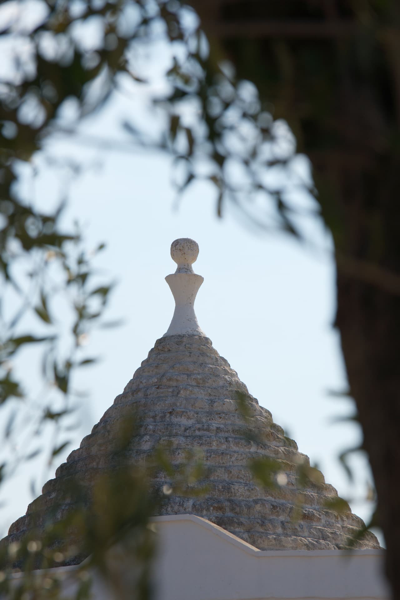 The stone cone of a traditional Puglian trullo seen through olive branches